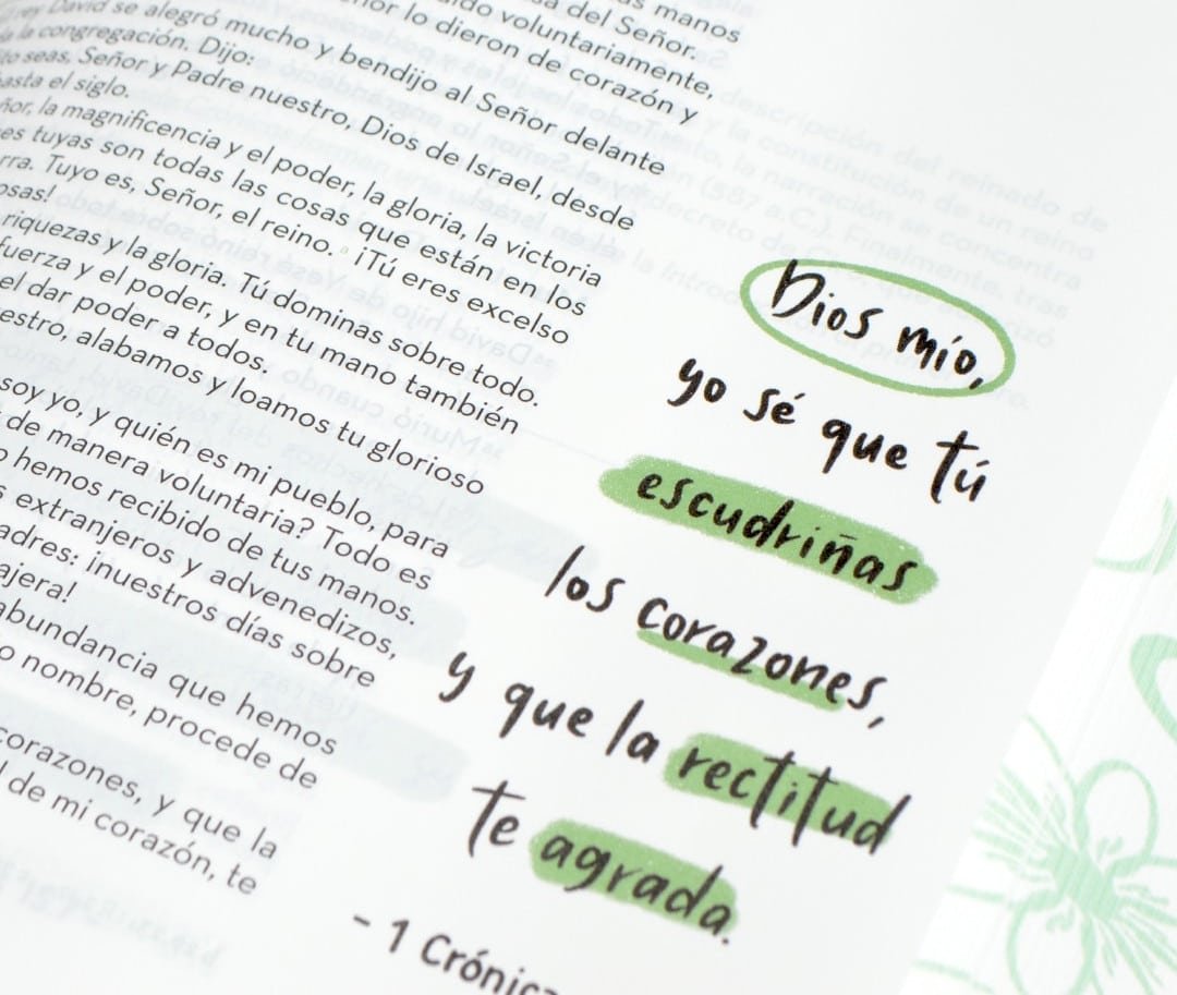 Biblia Arte Devocional RVC Rosado Apuntes Lettering Journaling - Imagen 4