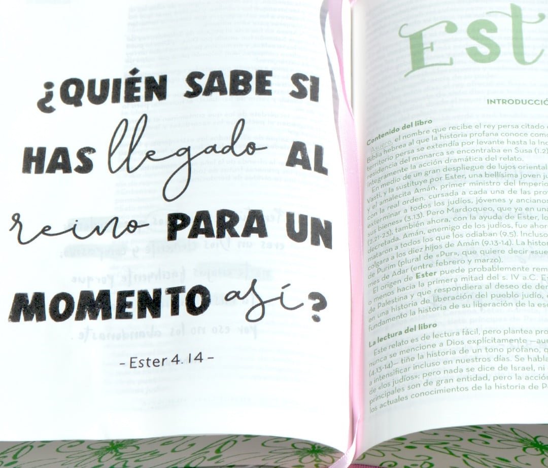 Biblia Arte Devocional RVC Rosado Apuntes Lettering Journaling - Imagen 7