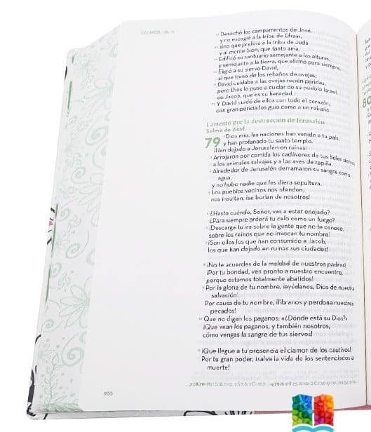 Biblia Arte Devocional RVC Rosado Apuntes Lettering Journaling - Imagen 6