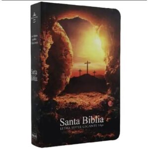 Biblia Reina Valera 1960 tapa grande letra 14 puntos piedra removida
