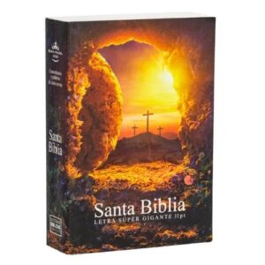 Biblia Reina Valera 19601960 Letra 11 puntos Tapa Dura piedra removida