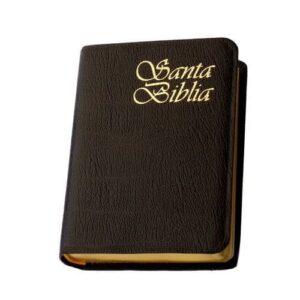 Biblia Reina Valera de bolsillo piel alta calidad concordancia edición limitada
