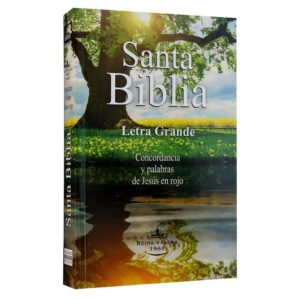 Biblia Reina Valera 1960 tapa rústica Letra Grande