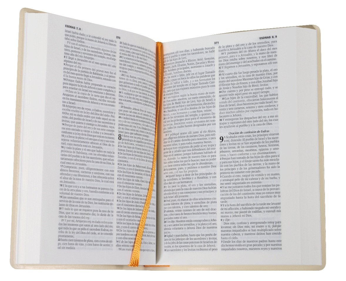 Biblia Reina Valera compacta vinil beige - Imagen 4