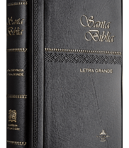 Biblia Reina Valera 1960 vinil negro letra 9 puntos