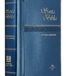 Biblia Reina Valera 1960 vinil azul letra 9 puntos