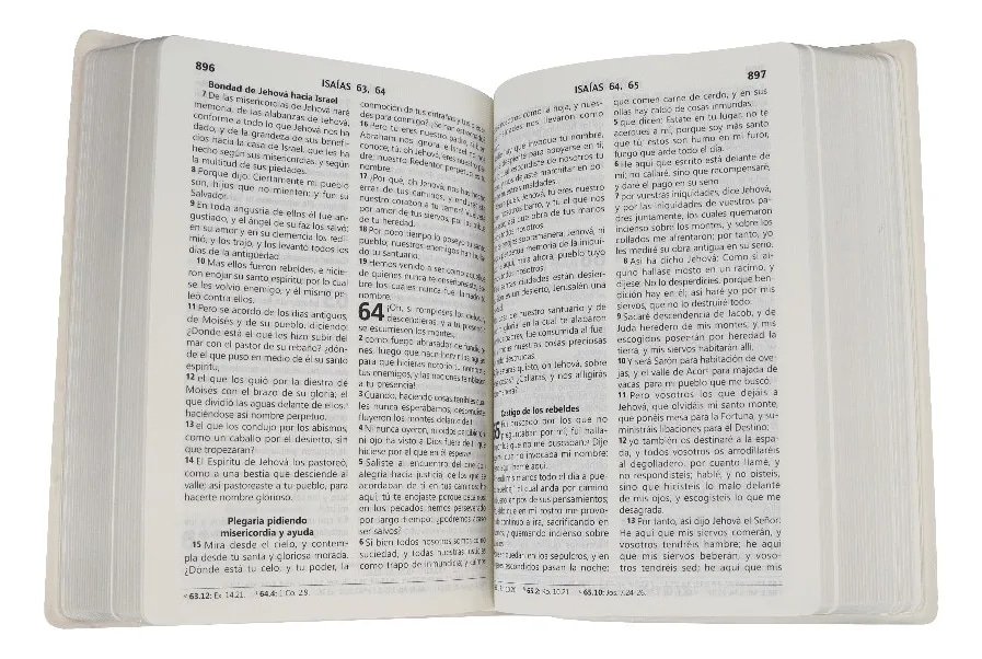 Biblia RVR 1960 compacta concordancia letra mediana lila flores - Imagen 5