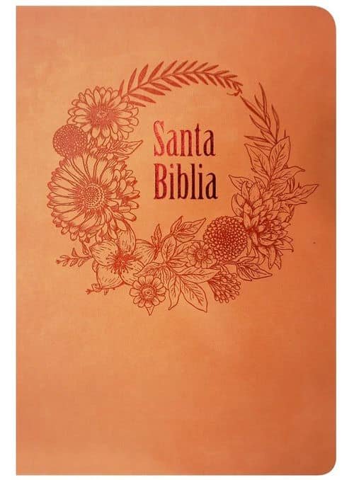 Biblia Letra Grande Reina Valera 60 Concordancia Naranja