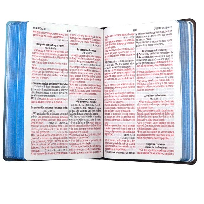 Biblia Reina Valera 1960 Letra Grande Tapa dura Leon - Imagen 2