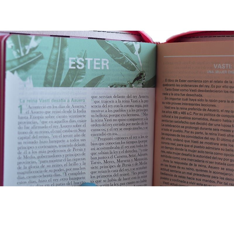 Biblia Reina Valera 60 La mujer en la Biblia con índice - Imagen 3