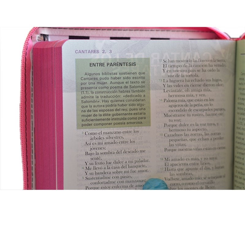 Biblia Reina Valera 60 La mujer en la Biblia con índice - Imagen 5