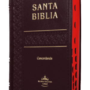 Biblia Reina Valera 1960 Tamaño Bolsillo Letra 9 puntos Vinil Vino