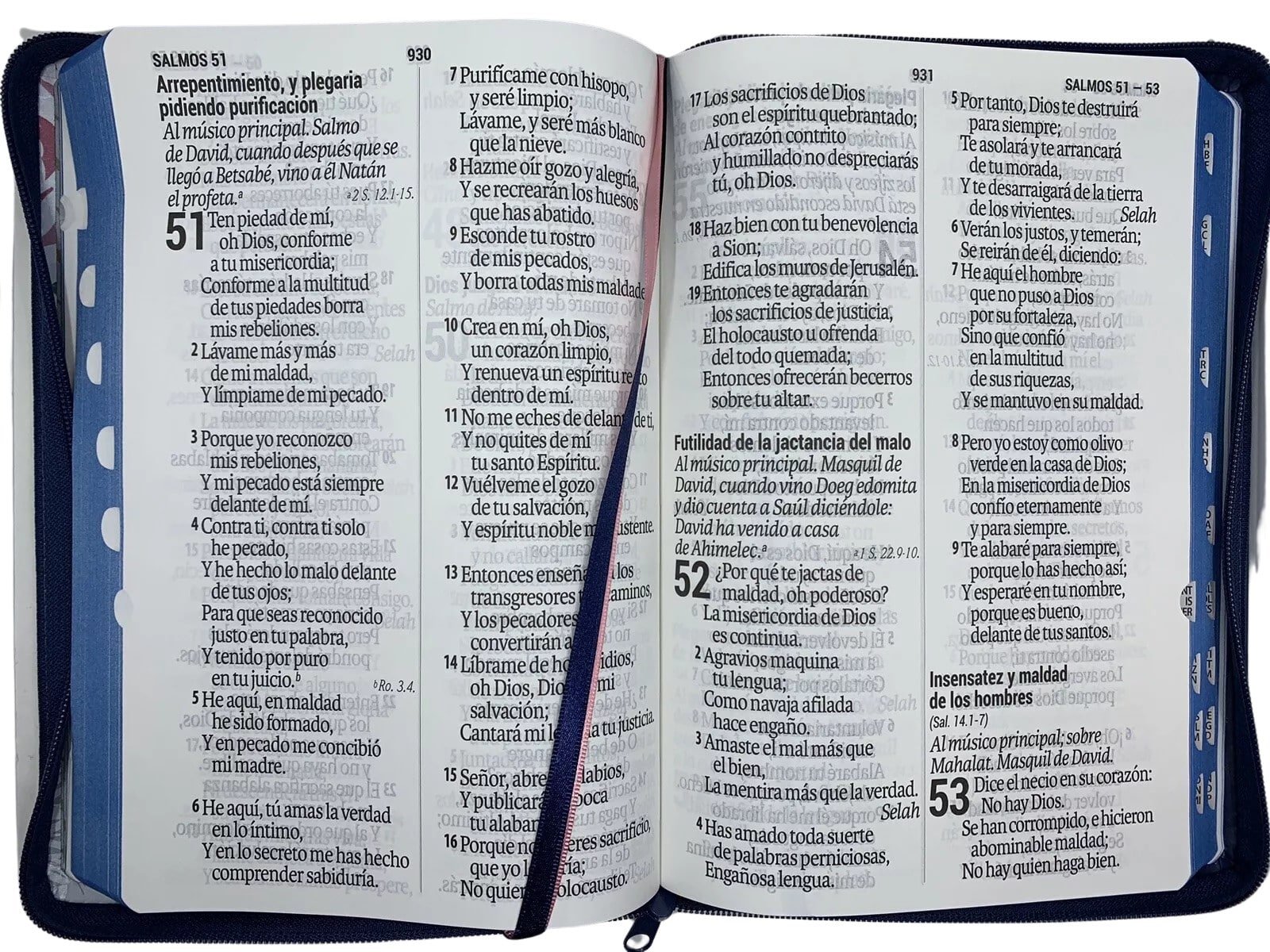 Biblia Reina Valera 1960 letra super gigante 19 puntos canto azul índice - Imagen 2