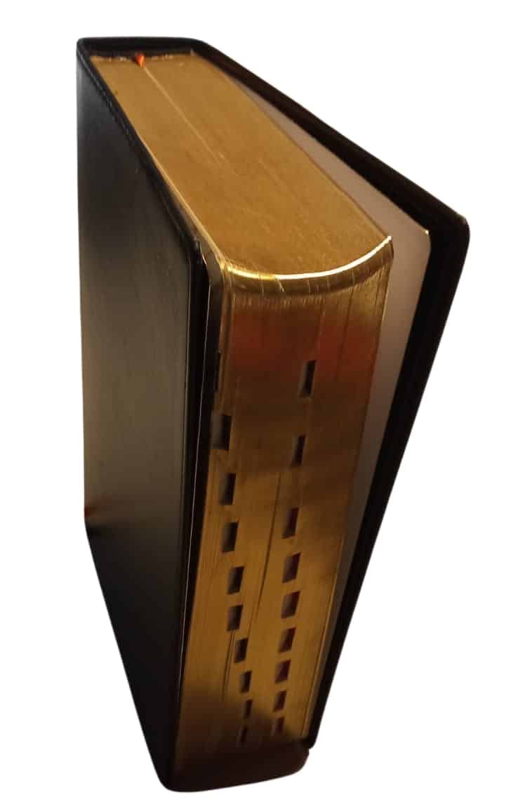 Biblia De Estudio Teológico Reina Valera 1960 índice tamaño mediano - Imagen 5