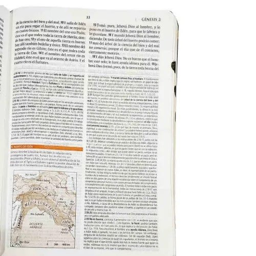 Biblia De Estudio Teológico Reina Valera 1960 índice tamaño mediano - Imagen 3