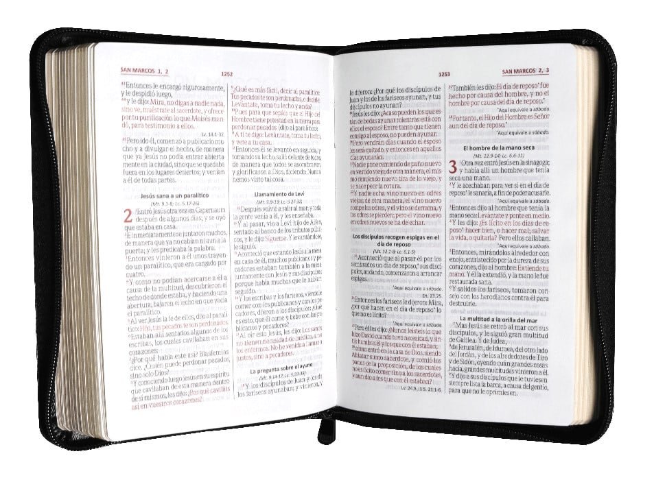 Biblia RVR1960 letra grande cierre - Imagen 3