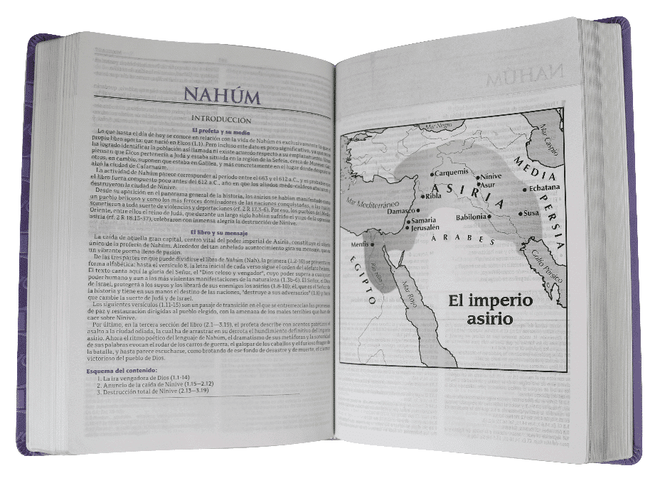 Biblia de Estudio RVC, concordancia, azul oscuro - Imagen 4