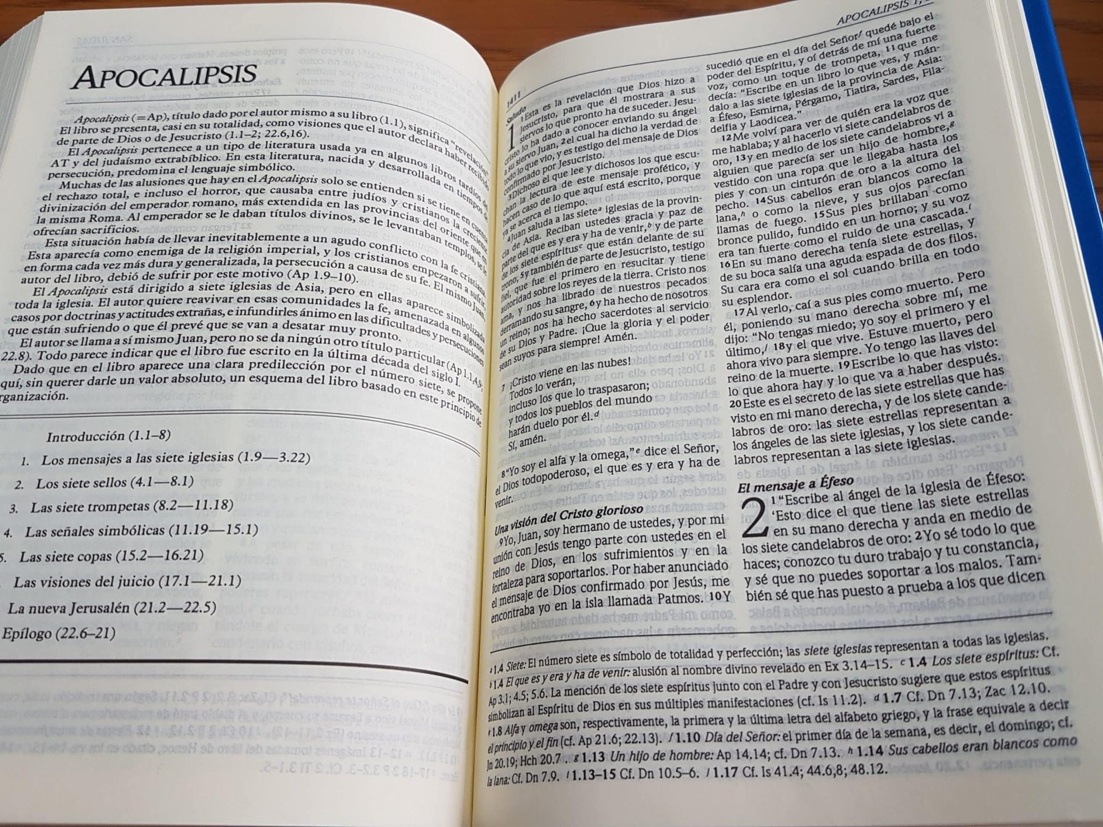 Biblia Dios Habla Hoy Con Deuterocanónicos Tapa Dura - Imagen 7