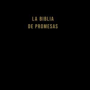 Biblia NVI tapa dura 10 puntos