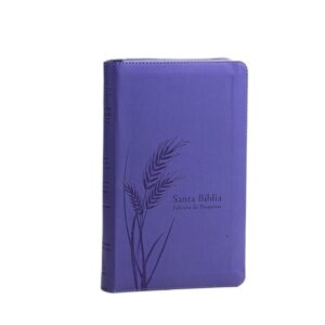 Biblia de Promesas Reina Valera 1960 Letra grande 12 puntos Lavanda