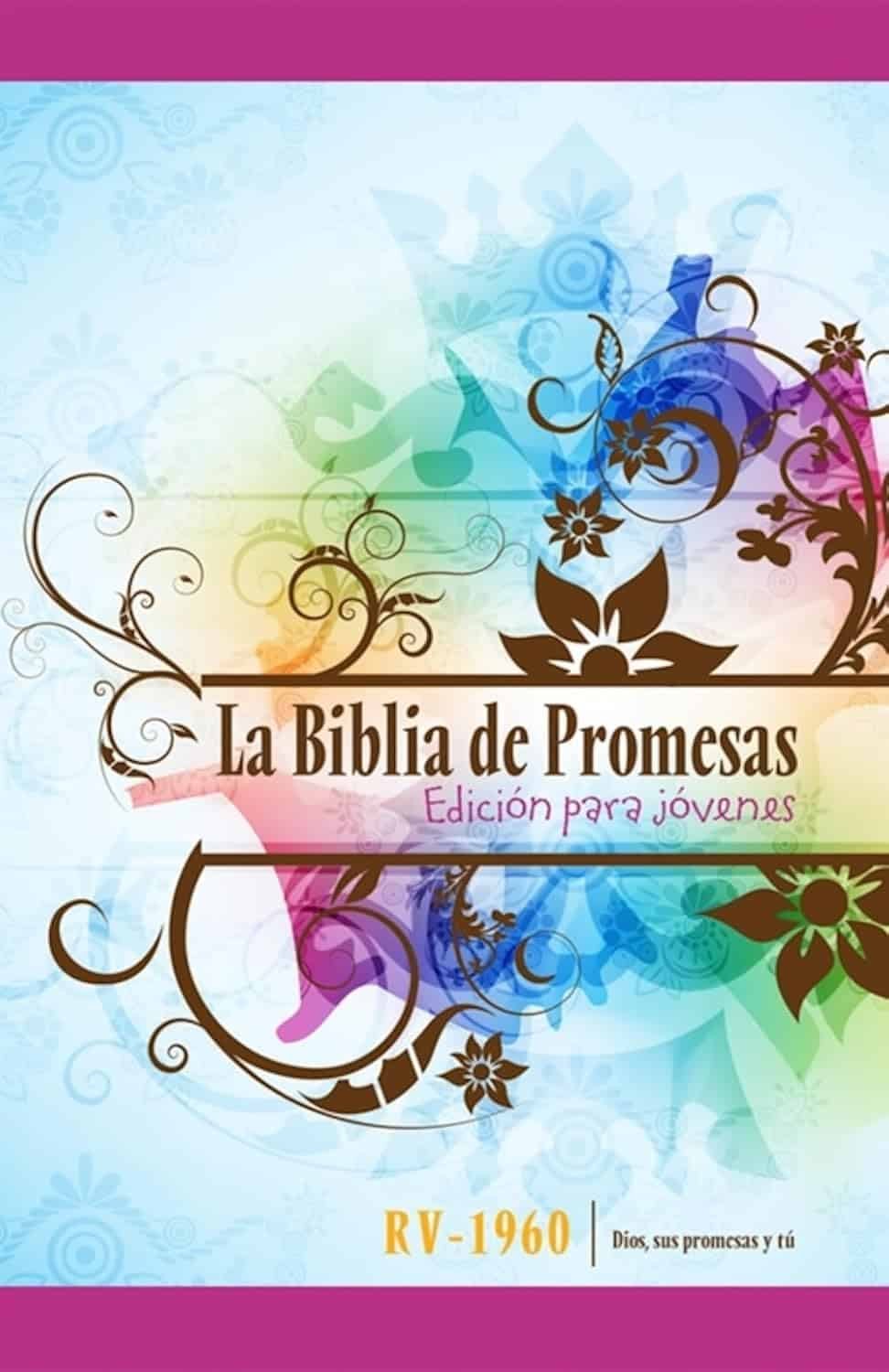 Biblia de promesas edición para jóvenes