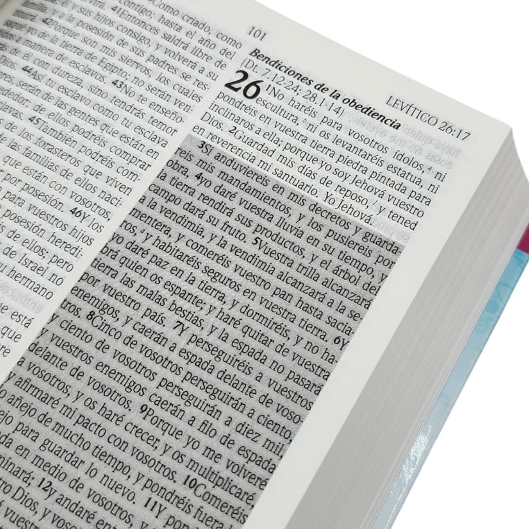 Biblia de promesas edición para jóvenes - Imagen 3