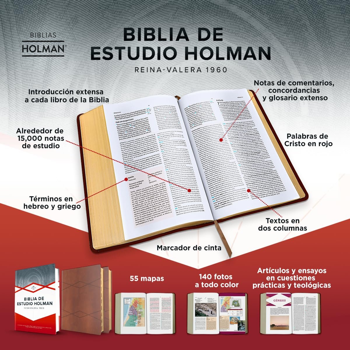 Reina Valera 1960 Biblia de estudio Holman, Café Símil Piel - Imagen 3