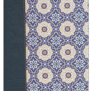 Biblia Reina Valera 1960 de Apuntes azul edición ilustrada