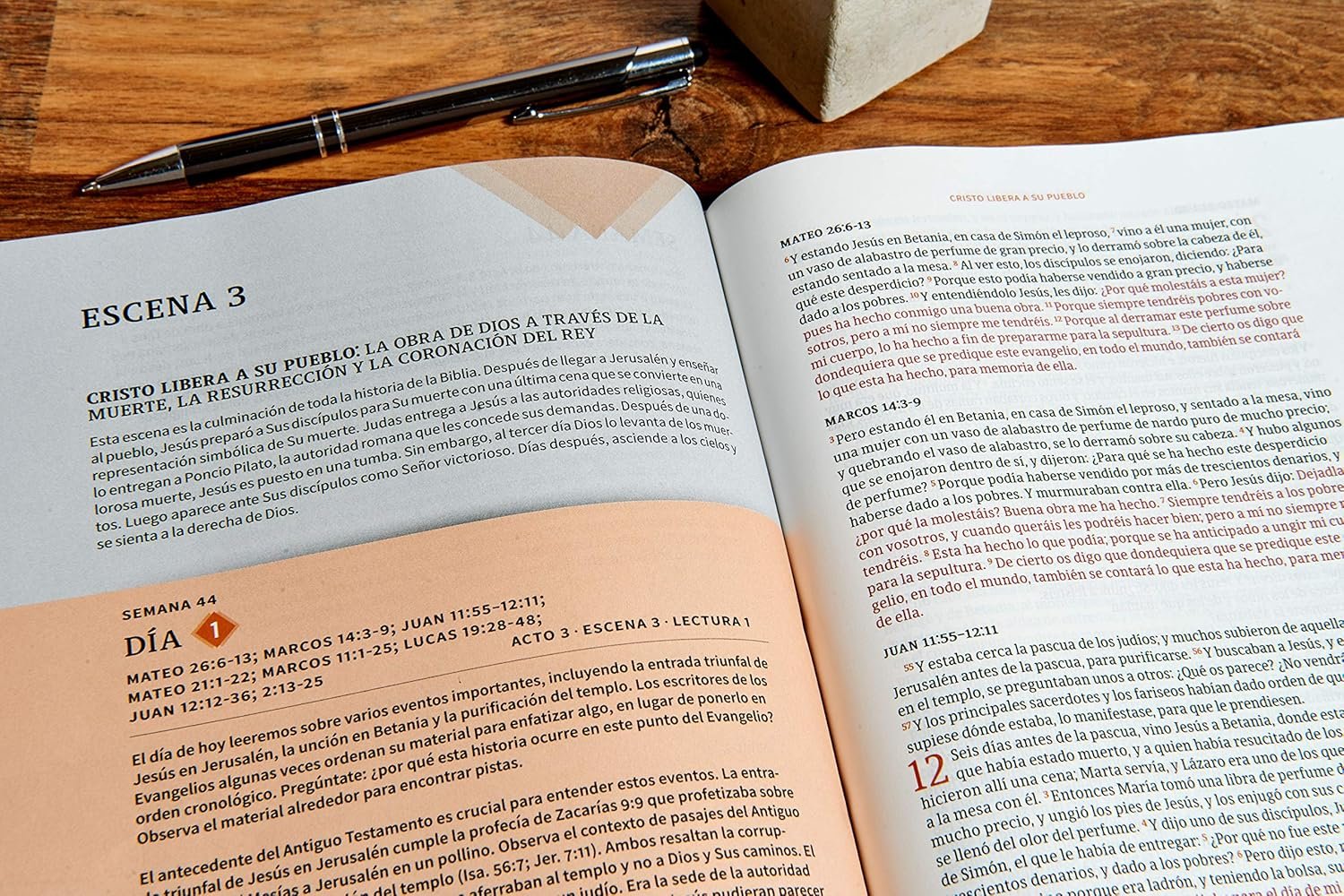 Biblia RVR 1960 Cronologica Día por Día Marrón Símil Piel - Imagen 2
