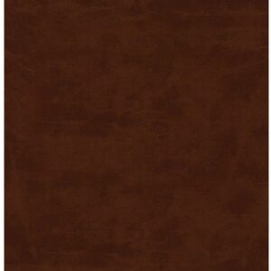 Biblia de Estudio Scofield RVR 1960, Piel Imit. Marrón