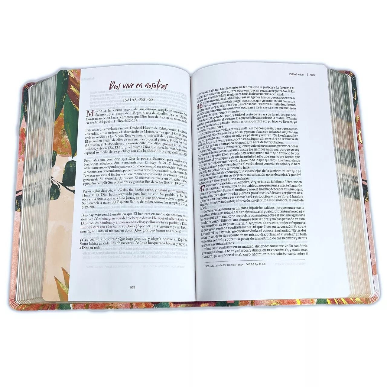 Biblia 60 devocional Centrada en Cristo floral mujer - Imagen 7