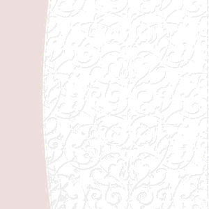 Biblia Reina Valera 1960 edición especial boda matrimonio