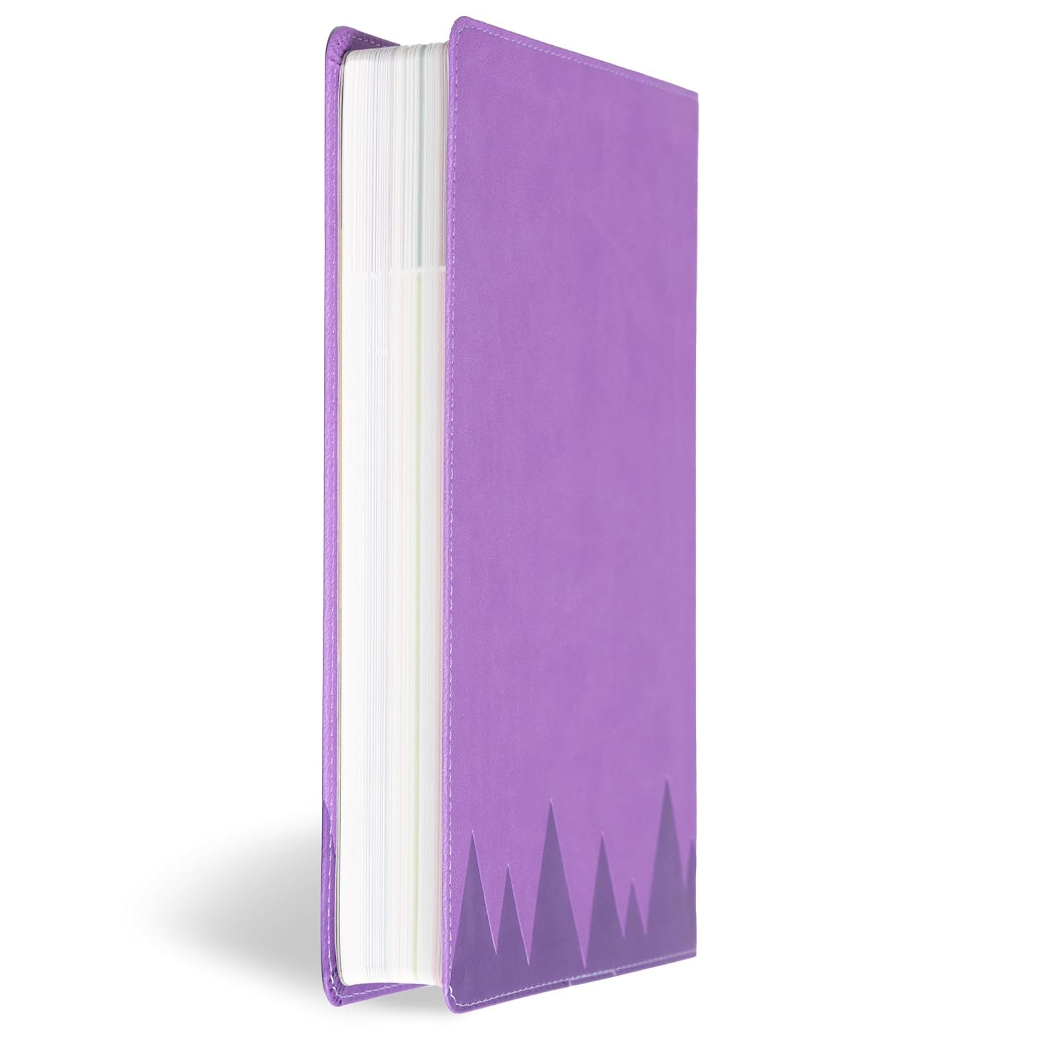 BIBLIA PARA NIÑOS EXPLORADORES Simil piel lavanda - Imagen 2
