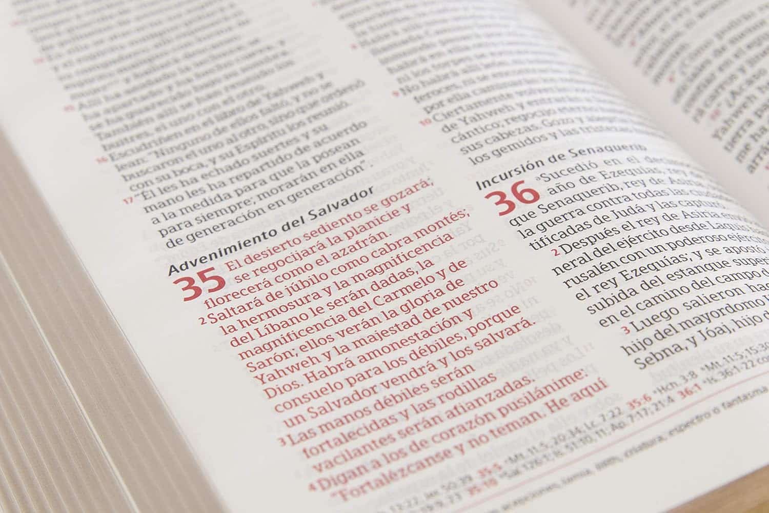 Biblia Peshitta. Imitación piel, negro, con índice - Imagen 3