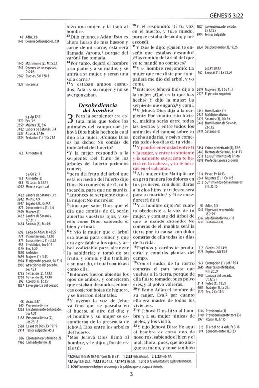 Biblia de Estudio Thompson Reina Valera 1960 - Imagen 4