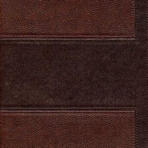 Biblia de estudio vida plena color marrón RVR1960