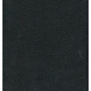Biblia de estudio Plenitud piel fabricada RVR 1960 negro