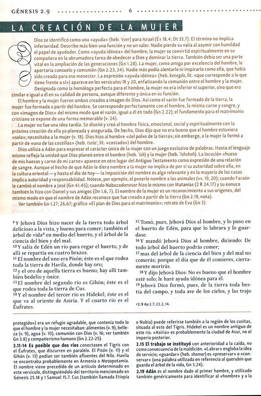 Biblia de estudio para la Mujer RVR60 Piel Rosa - Imagen 3
