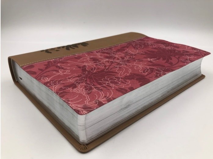Biblia de estudio para la Mujer RVR60 Piel Rosa - Imagen 6
