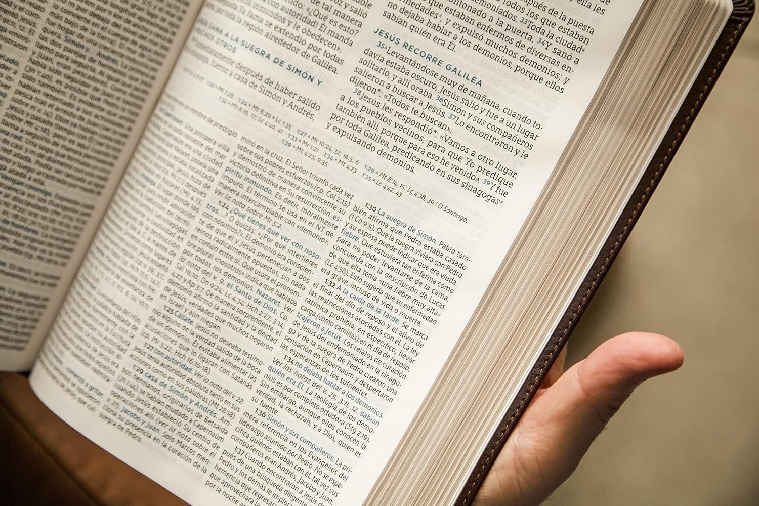 NBLA Biblia de Estudio MacArthur café - Imagen 4