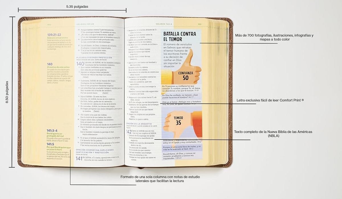 NBLA, Biblia visual de estudio para niños, Leathersoft, León Café - Imagen 2
