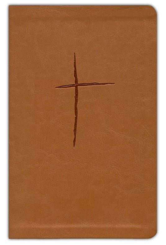 BIBLIA DE ESTUDIO PLENITUD RVR1960 - Imagen 6