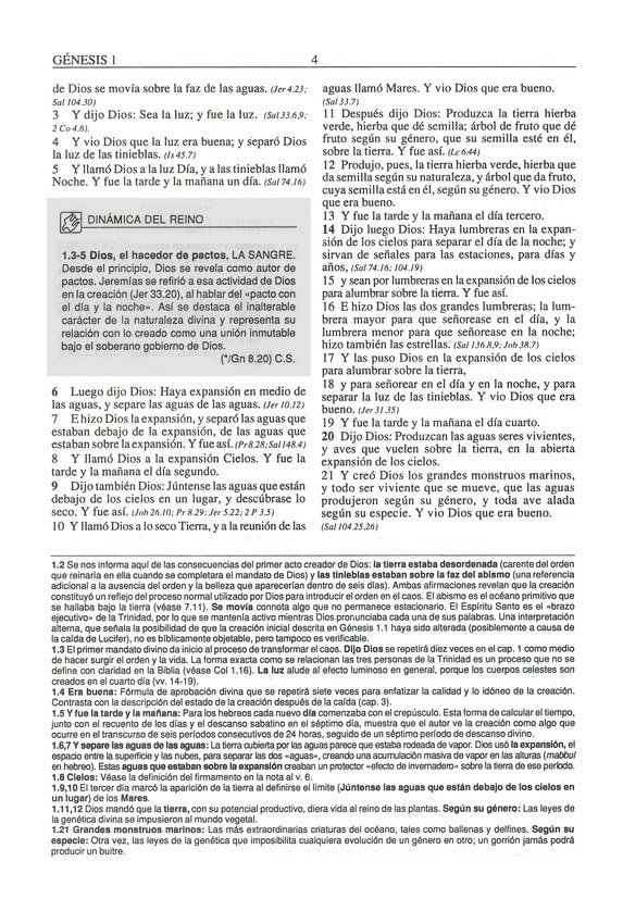 BIBLIA DE ESTUDIO PLENITUD RVR1960 - Imagen 4