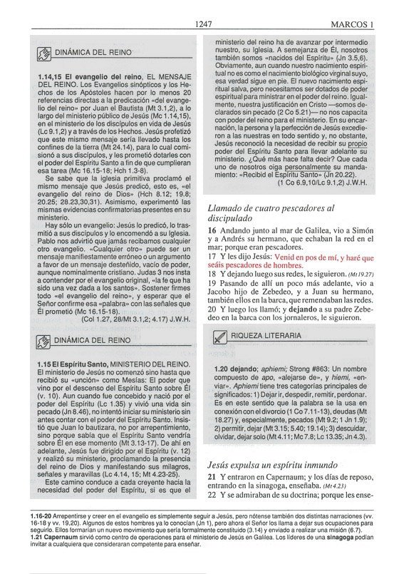 BIBLIA DE ESTUDIO PLENITUD RVR1960 - Imagen 3