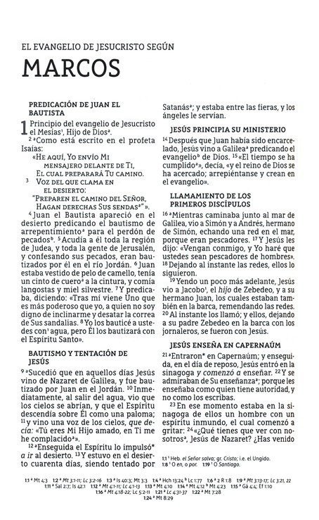 Biblia NBLA congregacional - Imagen 3