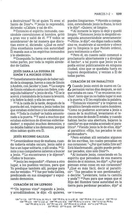 Biblia NBLA congregacional - Imagen 2