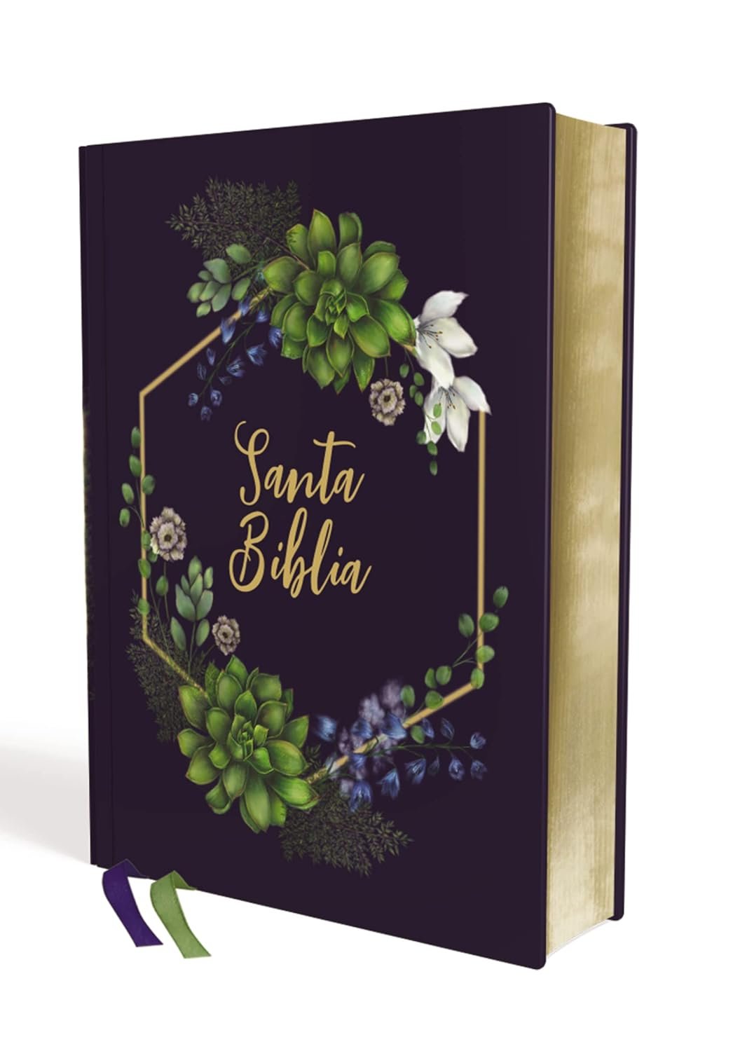 Biblia NVI 2022 Edición Artística