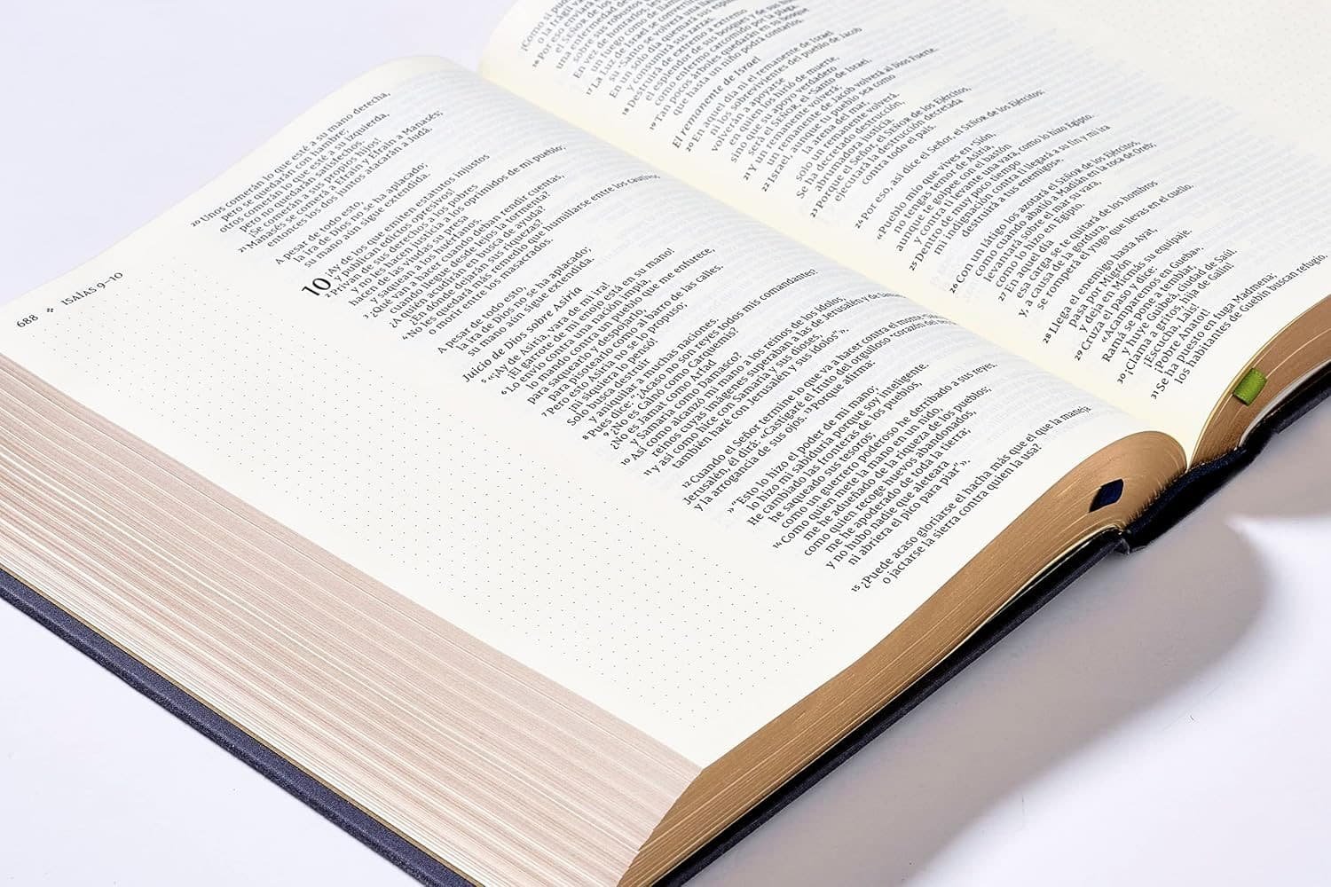 Biblia NVI 2022 Edición Artística - Imagen 3