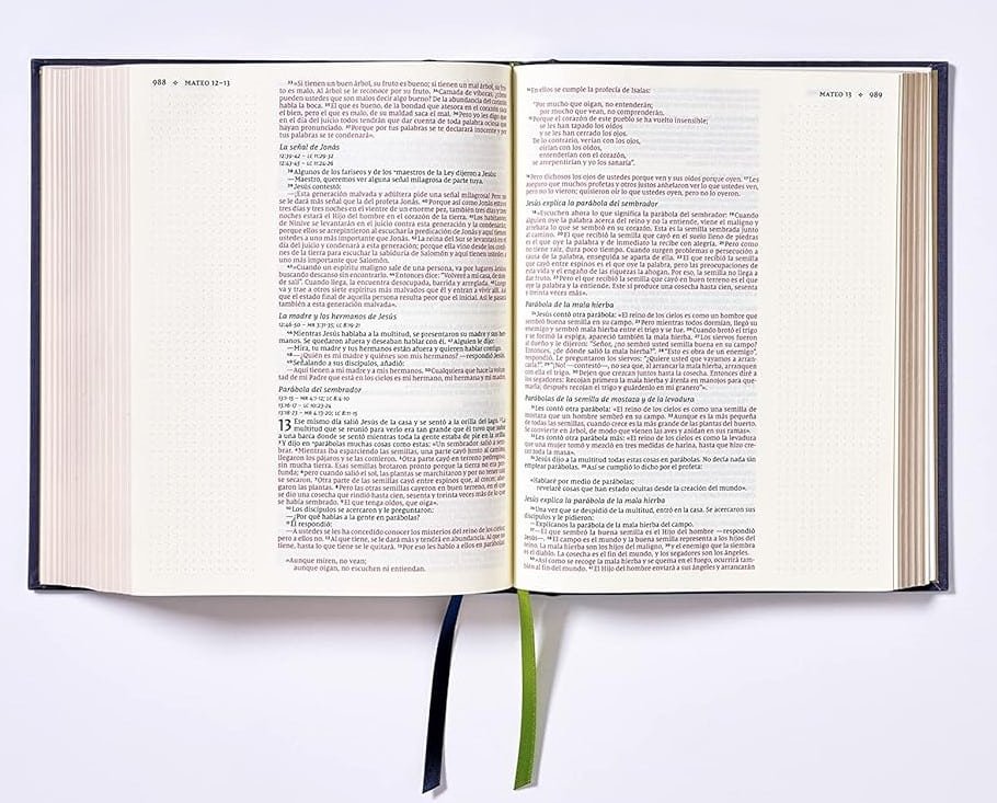 Biblia NVI 2022 Edición Artística - Imagen 2