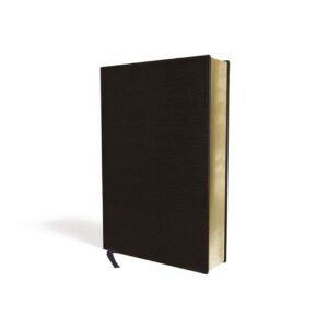NIV/RVR60, Biblia Bilingüe, Imitación piel, Negro